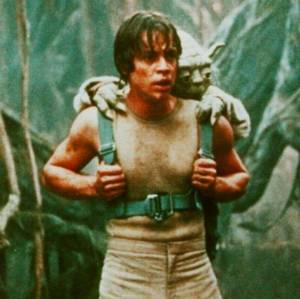 luke_yoda_meitai.jpg