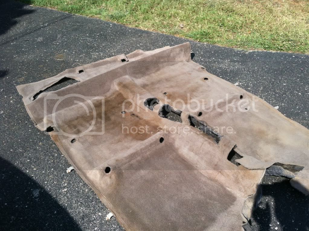 Carpet.jpg