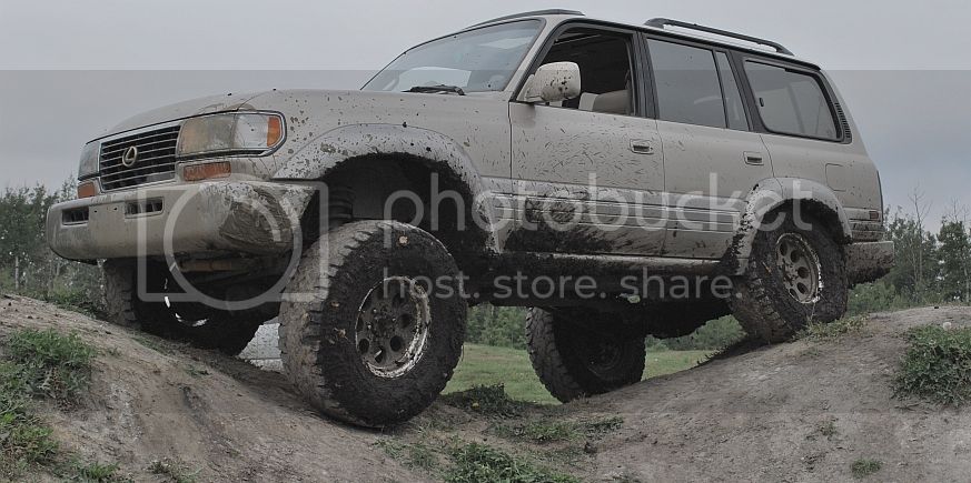 DSC_0031.jpg~original