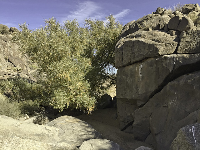 26676679749_aaf24d3469_z.jpg
