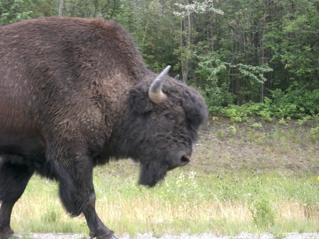 alaska064.jpg
