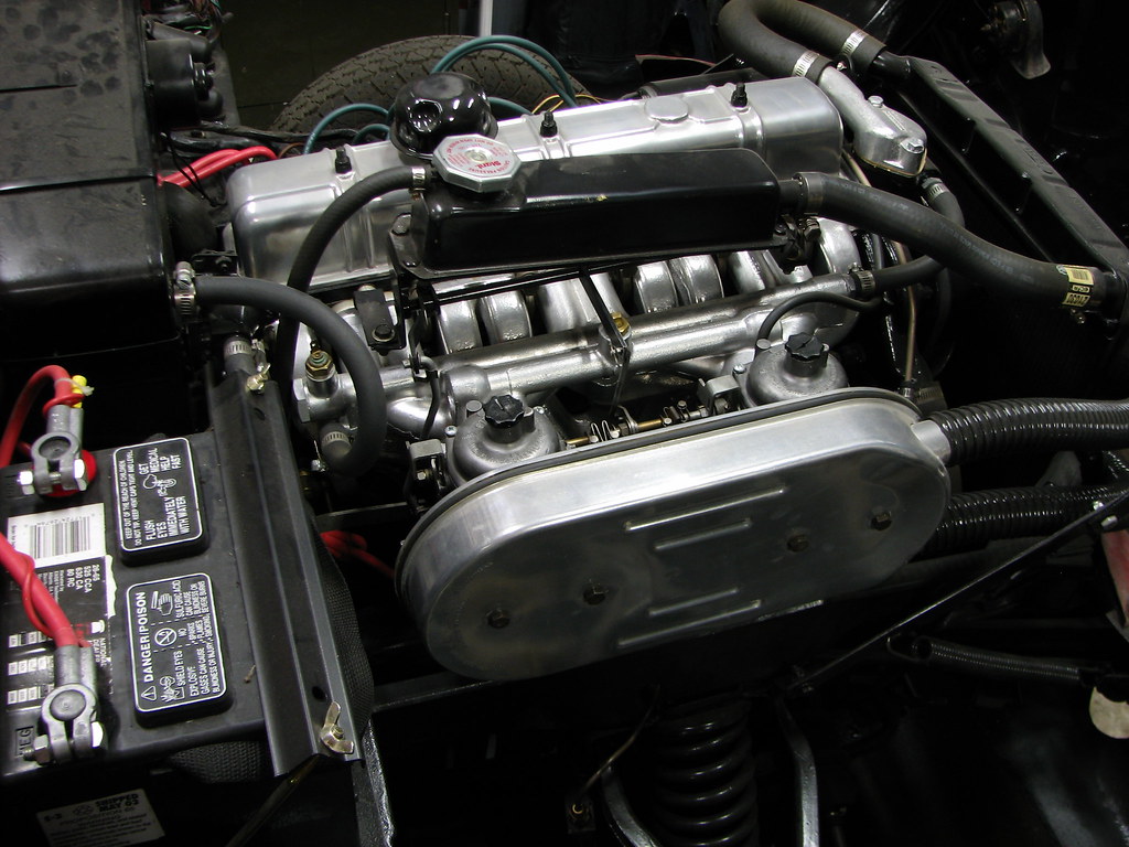 3316126999_ff4a8bf777_b.jpg
