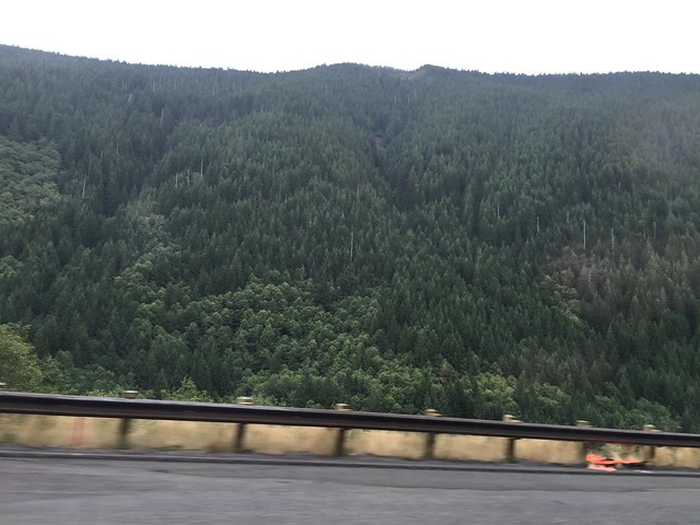 29607909471_f3173477b7_z.jpg