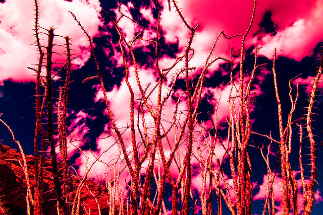25572324377_a654bde3ef_z.jpg