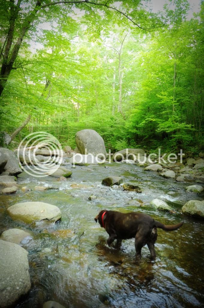 Camping2_zps2739227a.jpg