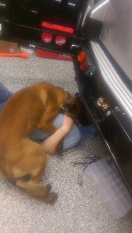 TOsAyEvhT_R5AO1t-x8JHG2walB-qv04Y2_egUEQlQ=w459-h810-no