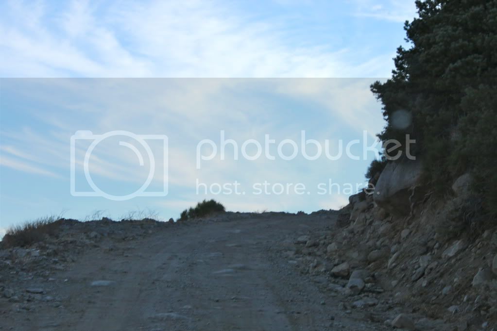 IMG_7633.jpg