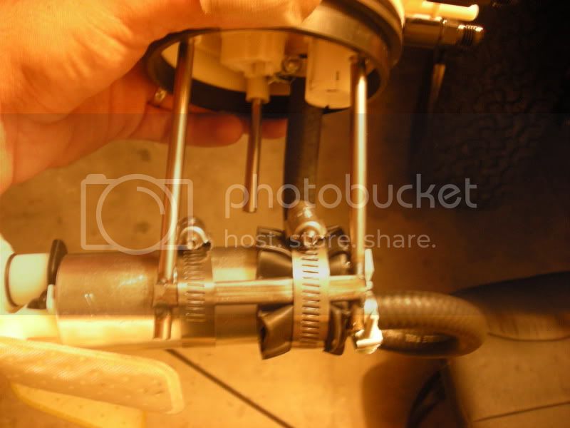 DSCN4556.jpg