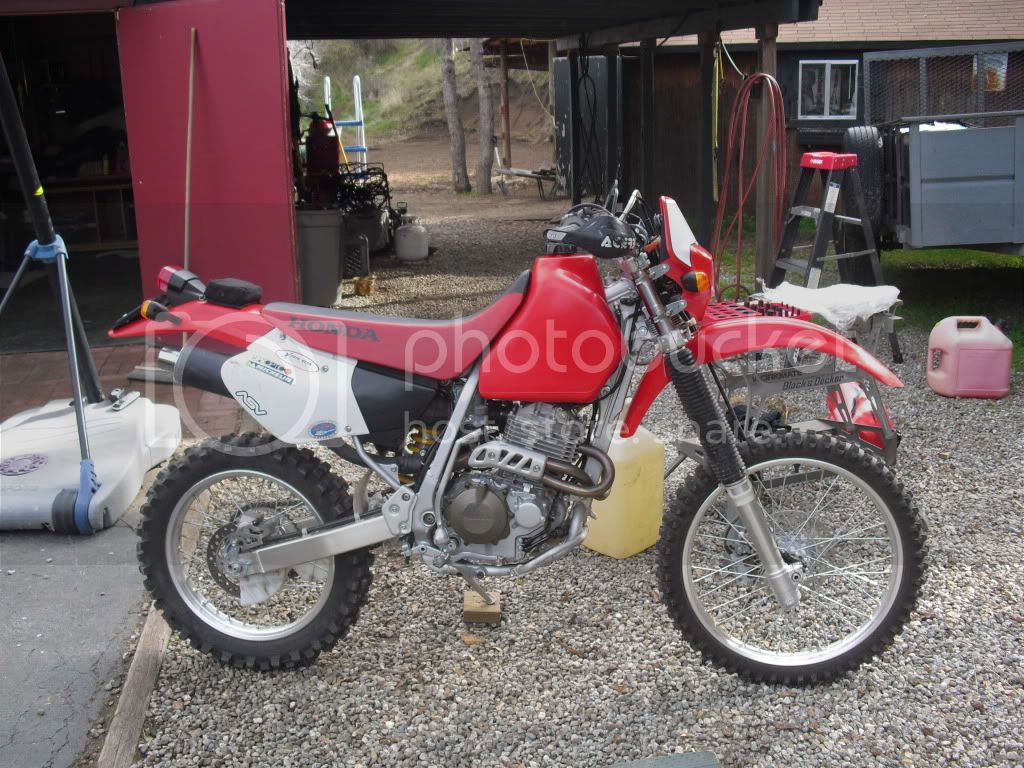CIMG0967.jpg