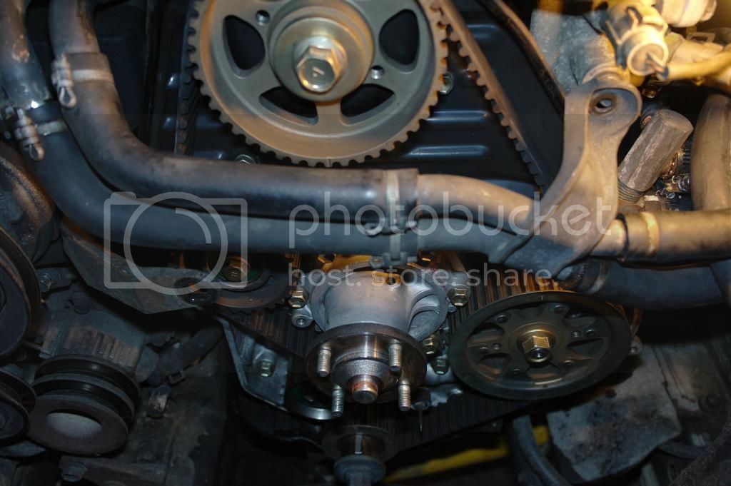 SAM_0158_zpsbda87c77.jpg