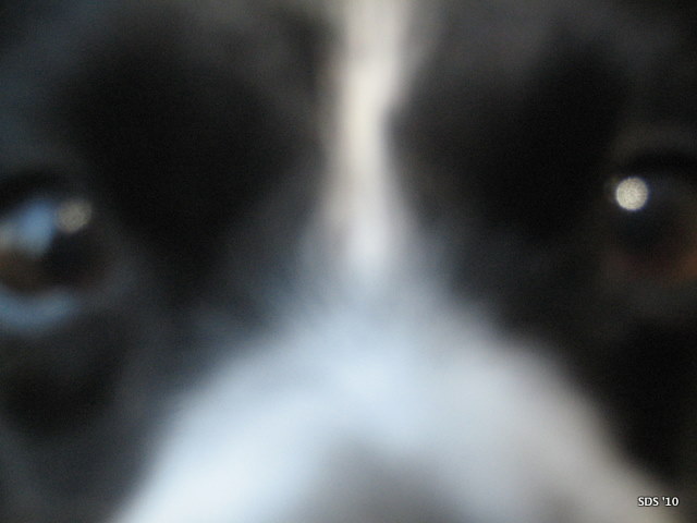 SCC_101010_10.JPG