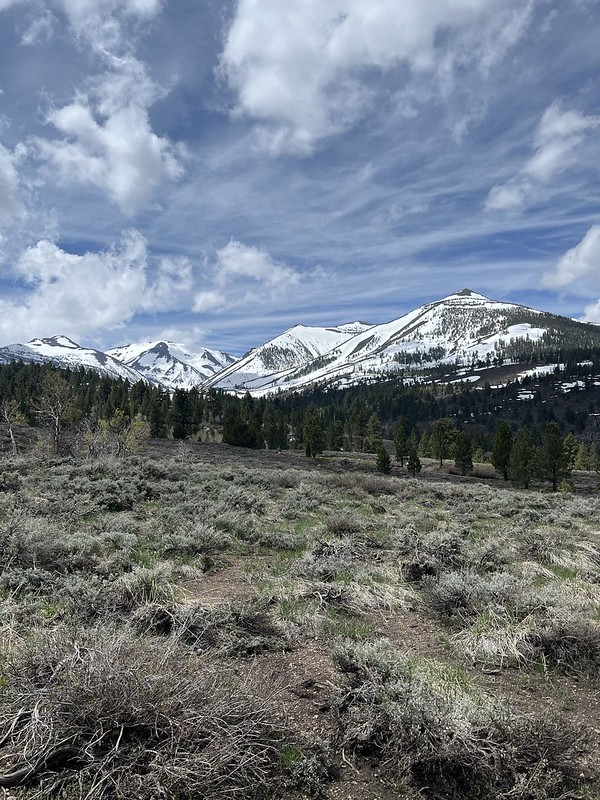52936511199_e182e17966_c.jpg