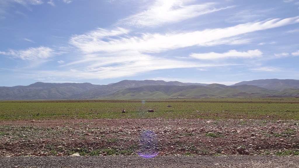 DSC01480.JPG