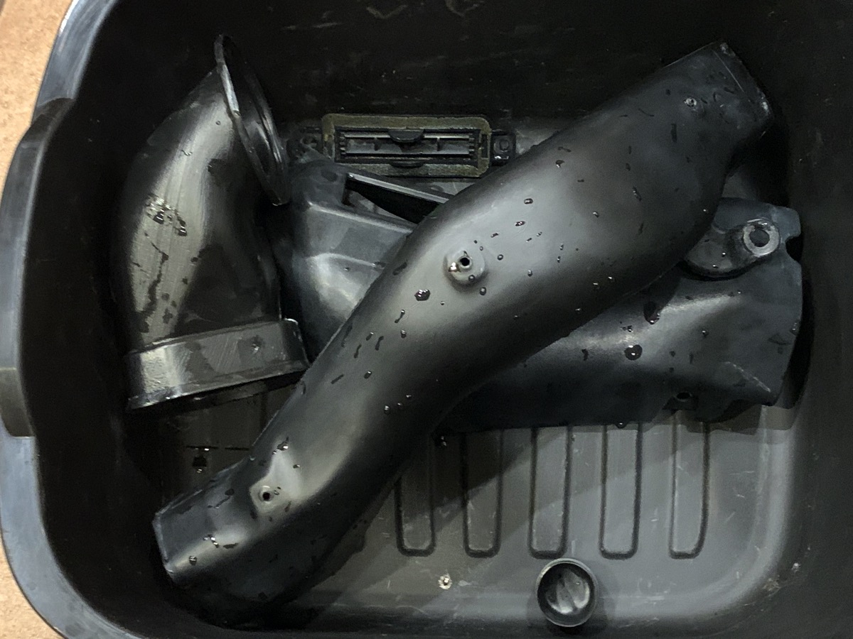 559drying.jpg