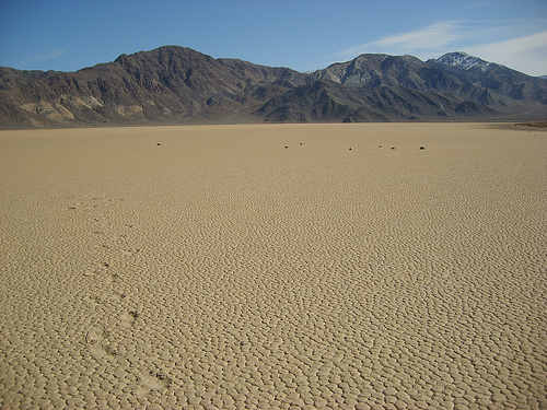 4472949900_af28ae5891.jpg
