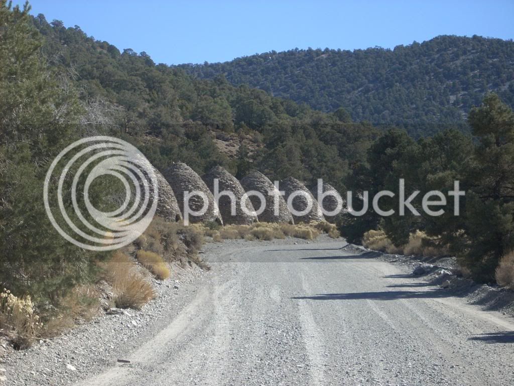 DSCN1010.jpg