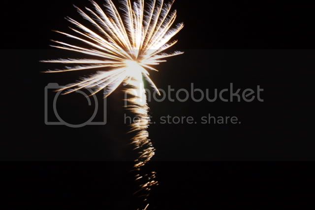 IMG_7319.jpg