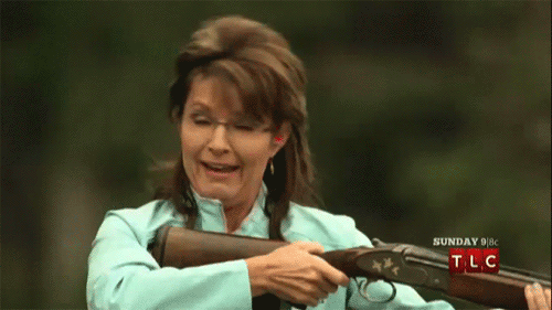 SarahPalinShooting_zps6696cb84.gif
