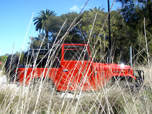 safari-400.jpg