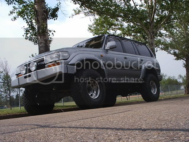cruiser010.jpg