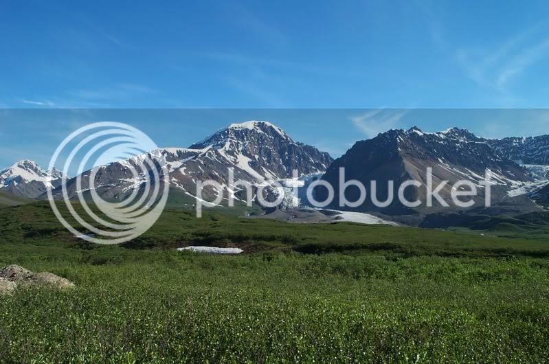 Day8glaciermeadow-1.jpg