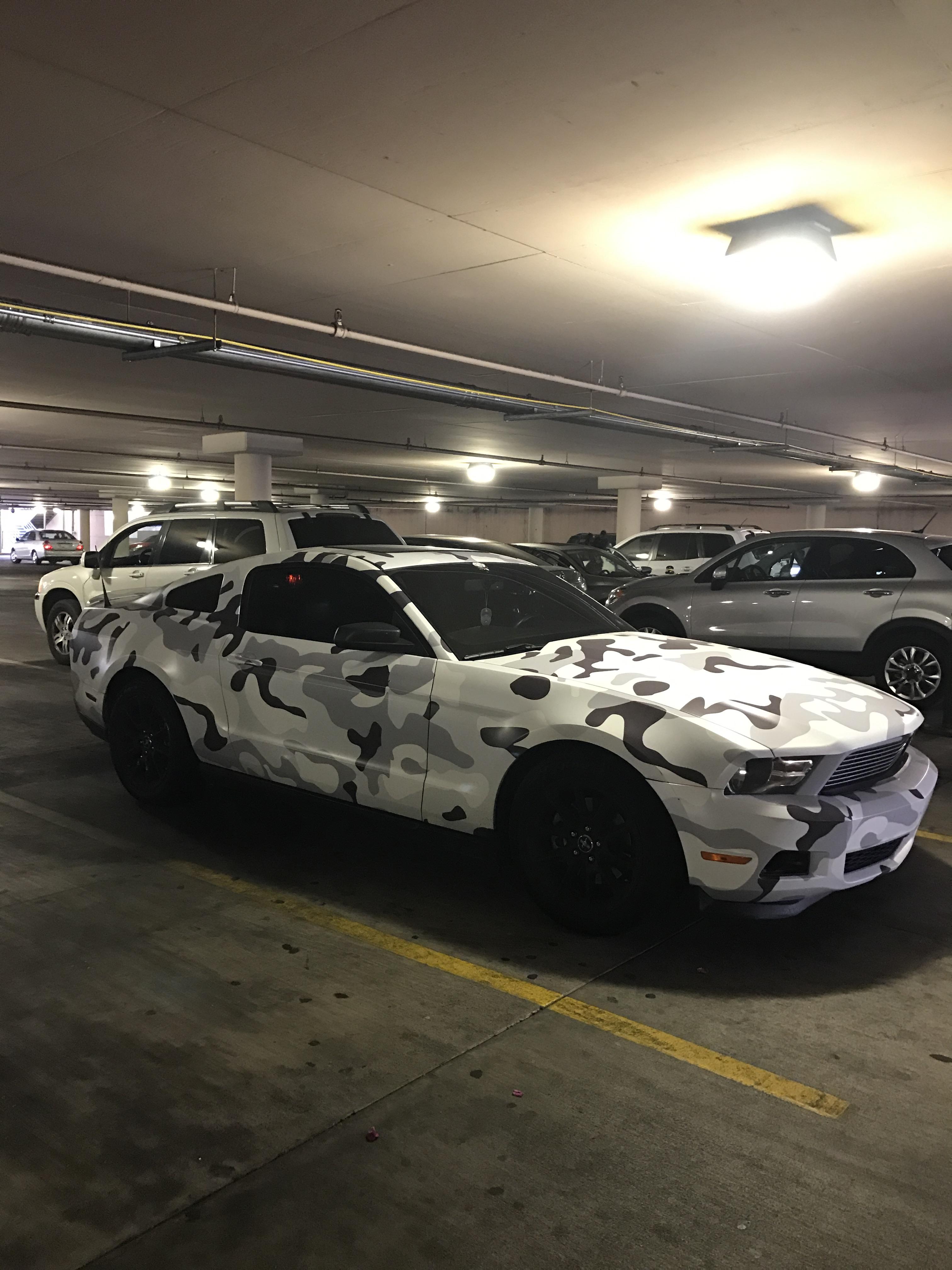 m3NY9kS.jpg