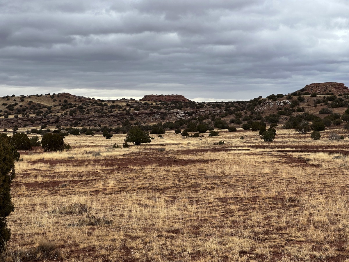 746highdesert.jpg