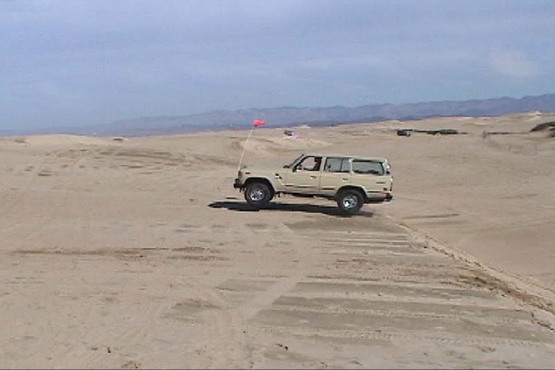 db_flying_tombi_11.jpg
