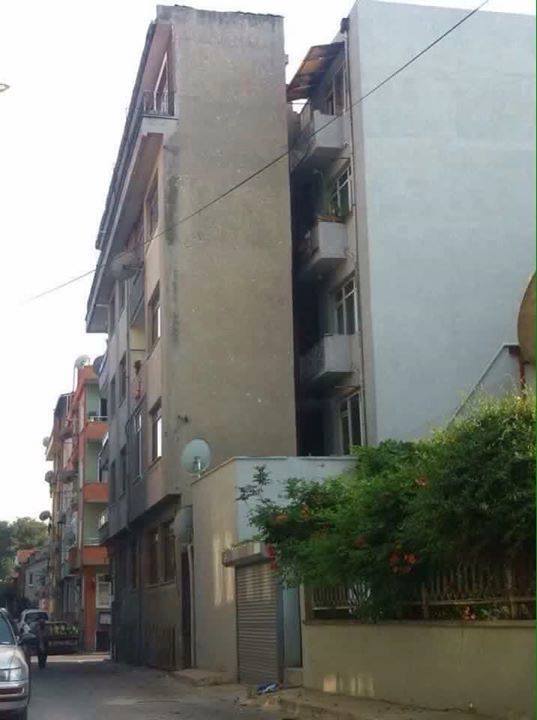 tumblr_ntpet0nre11ro4t56o1_540.jpg