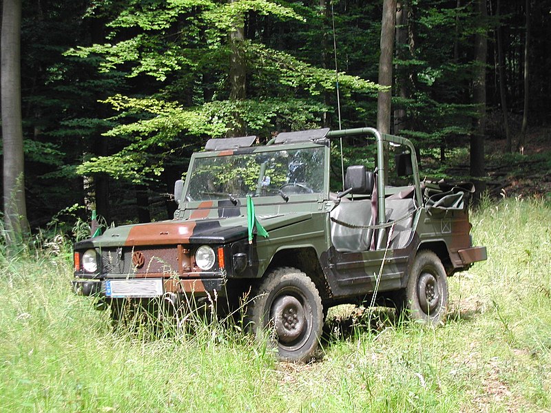 800px-VW_Iltis_001.jpg