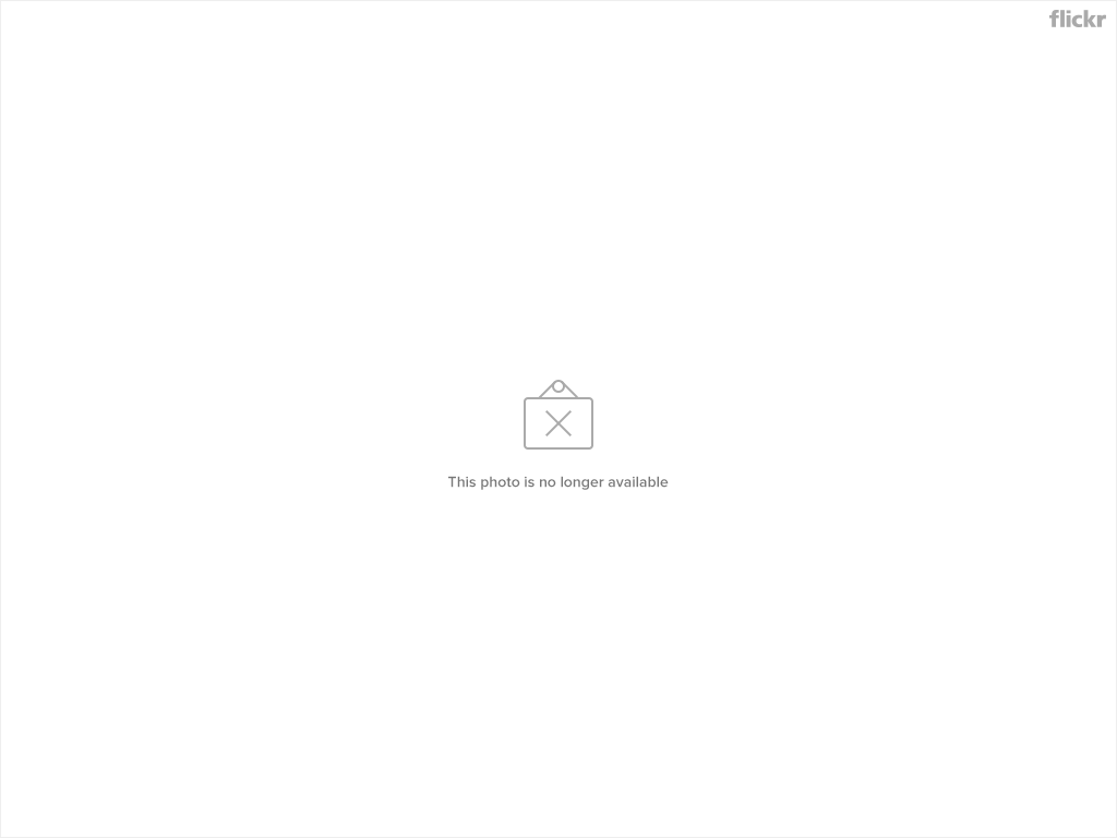 3785884955_538041287a_b.jpg