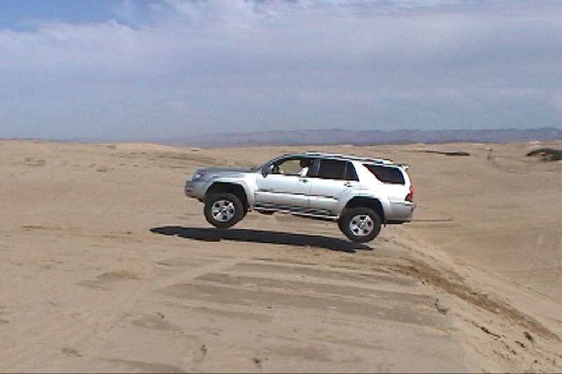 db_flying_bulldog1.jpg
