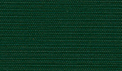 Forest80-29342t.jpg