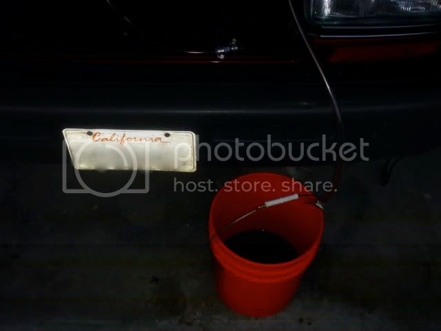 DSC05123.jpg