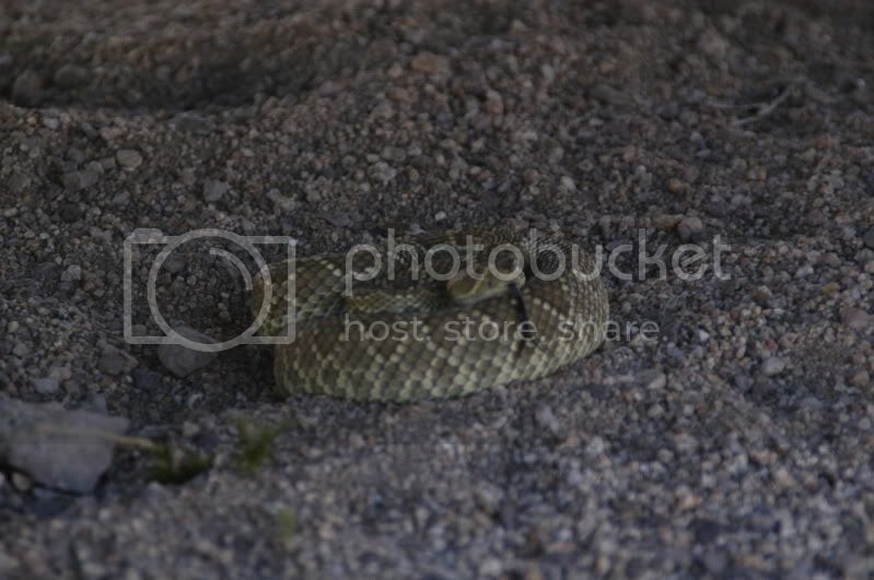 DSC_0341.jpg