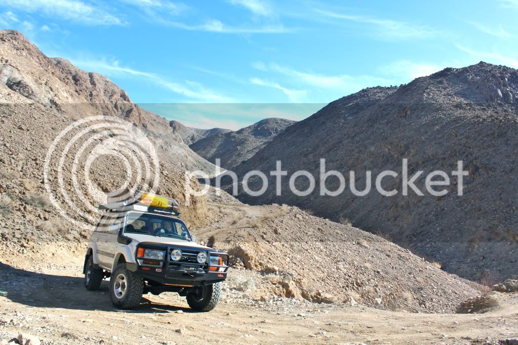 IMG_7459.jpg