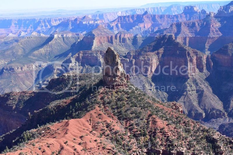 DSC_0415.jpg