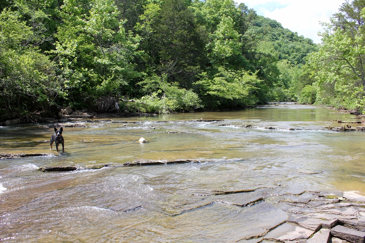 IMG_6778-X2.jpg