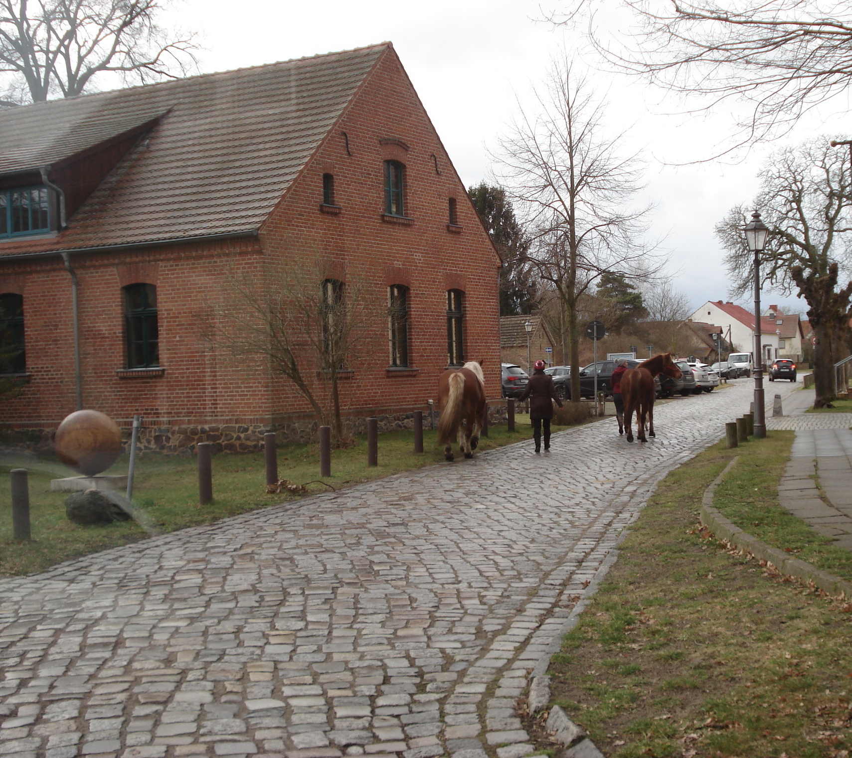 dsc016910bszg.jpg