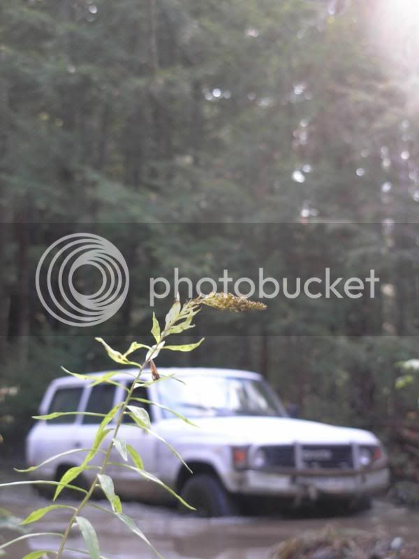PA090157.jpg