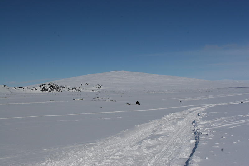 8295514016_43fe046bf5_c.jpg