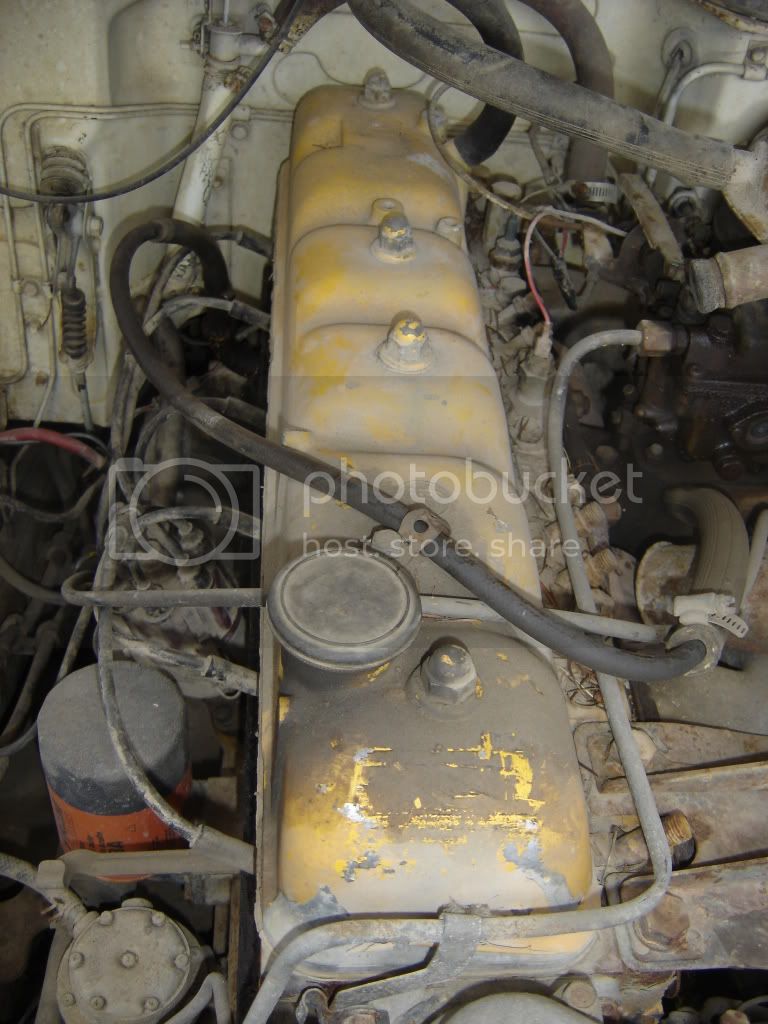 Picture034.jpg