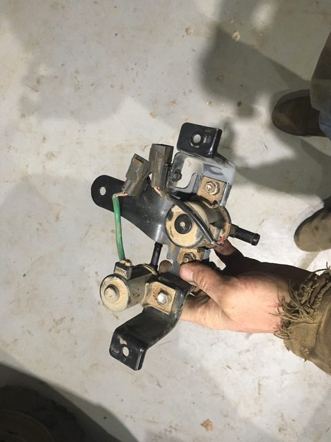 8HYwEQ5l.jpg