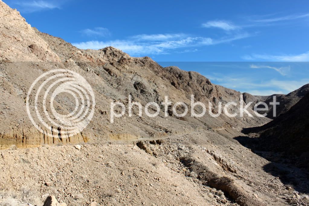 IMG_7475.jpg