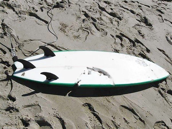 6a00d8341c630a53ef017ee47036bd970d-640wi