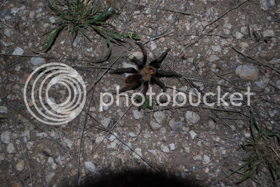 DSC_0811.jpg