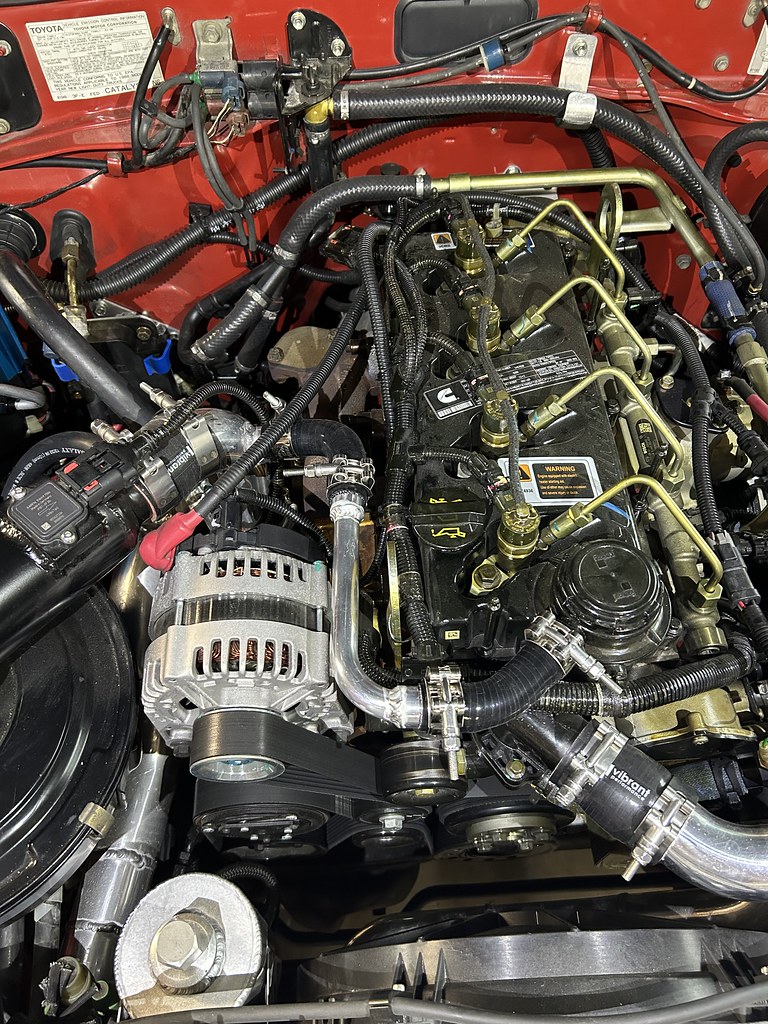 54883356886_572790dd97_b.jpg