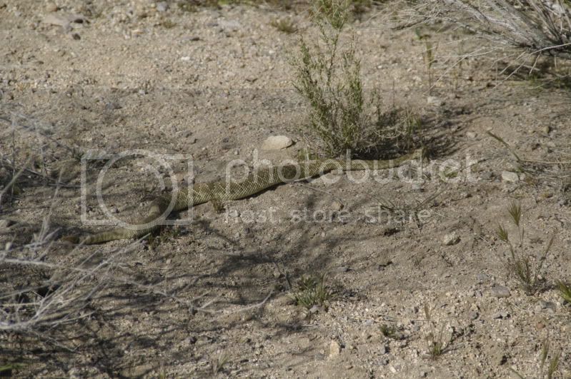 DSC_0352.jpg