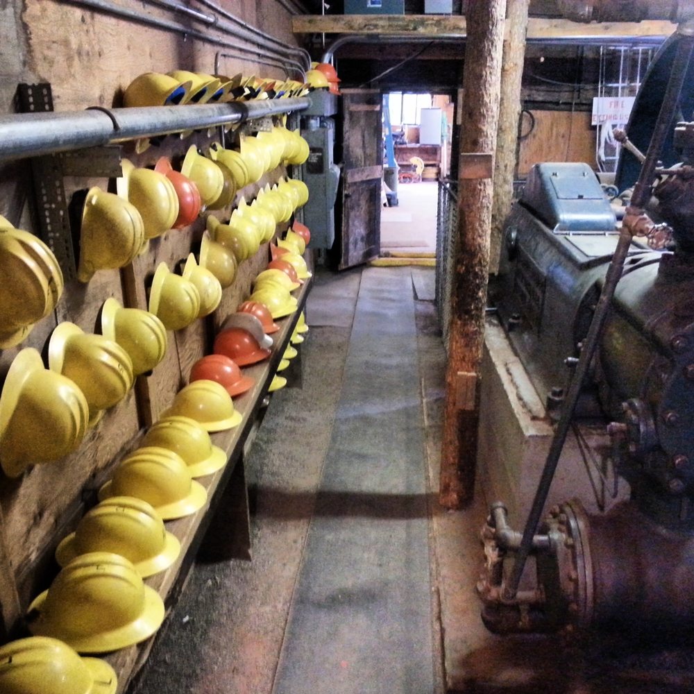 bachelorsyracusemine.com