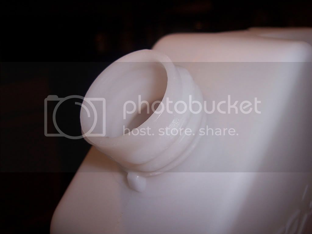 100_5446.jpg